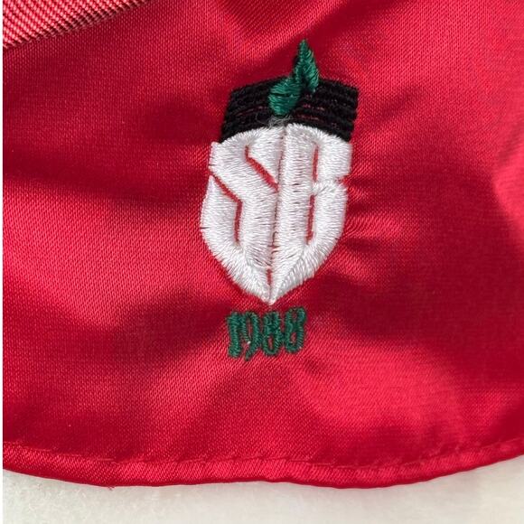 Vintage Original 1988 Dayton Hudson Santa Bear Polar Club Entertainer - Picture 2 of 6